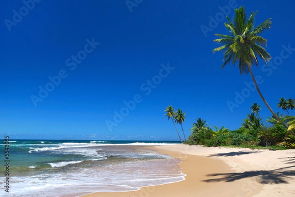 Obraz tres coquieros 3