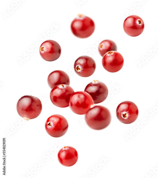 Fototapeta levitating cranberries on a white isolated background