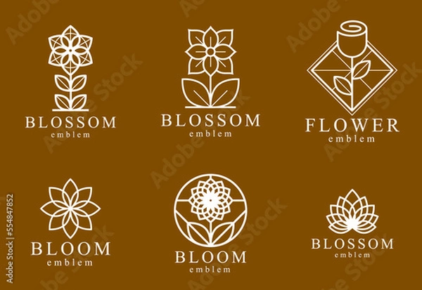 Fototapeta Beautiful geometric flower logos vector linear designs set, sacred geometry line drawing emblems or symbols collection, blossoming flower hotel or boutique or jewelry logotypes.