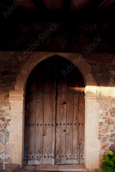 Obraz old door in the castle