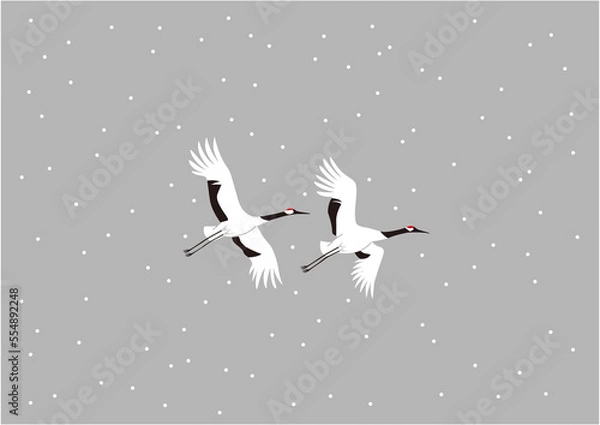 Fototapeta 雪の中を飛ぶつがいのタンチョウ08