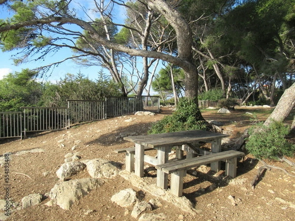 Fototapeta bench in the park