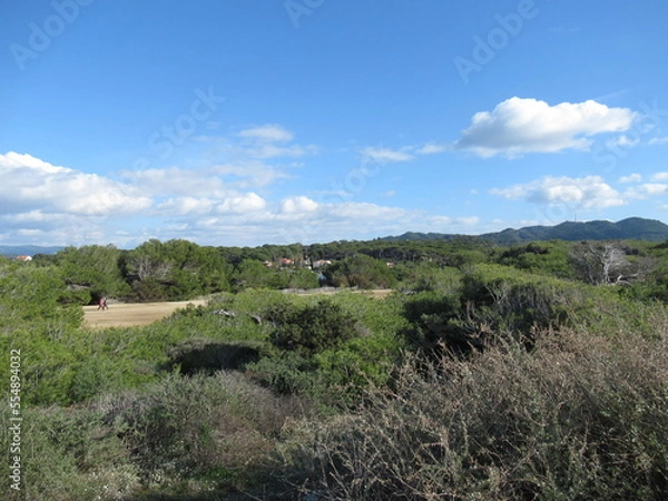 Fototapeta landscape with sky