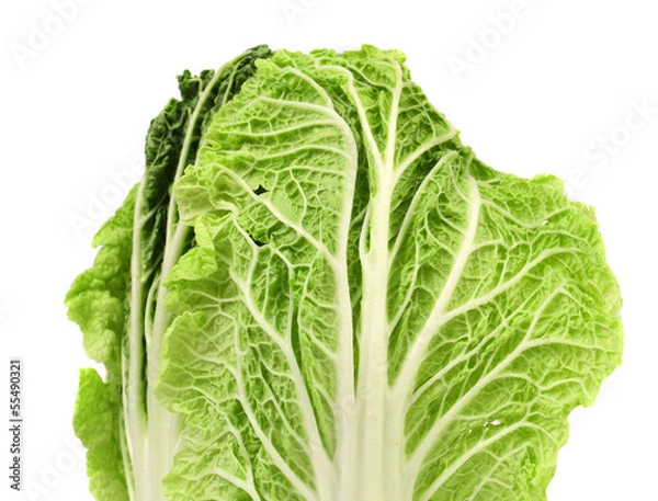 Fototapeta Chinese cabbage on white background