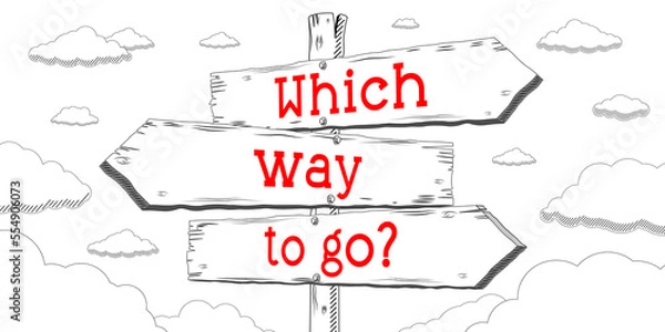 Fototapeta Which way to go - outline signpost with three arrows