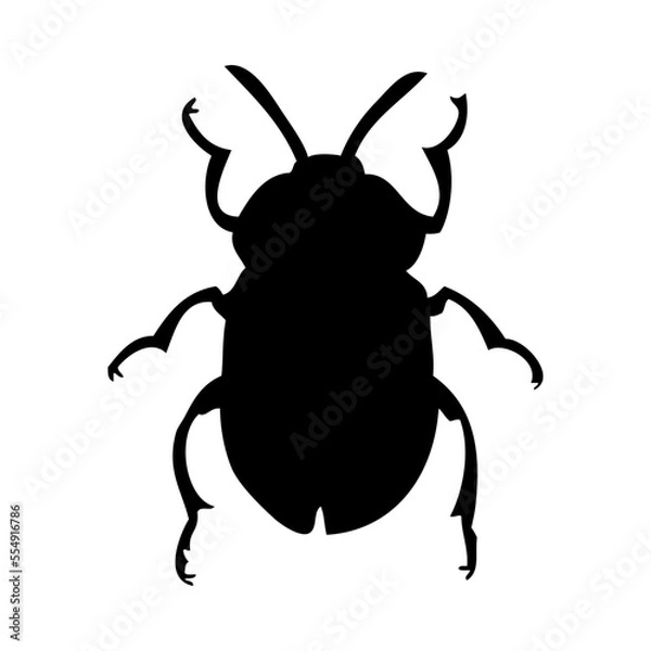 Obraz Beetle Silhouette
