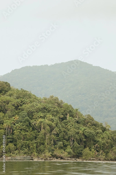 Obraz brasilian island