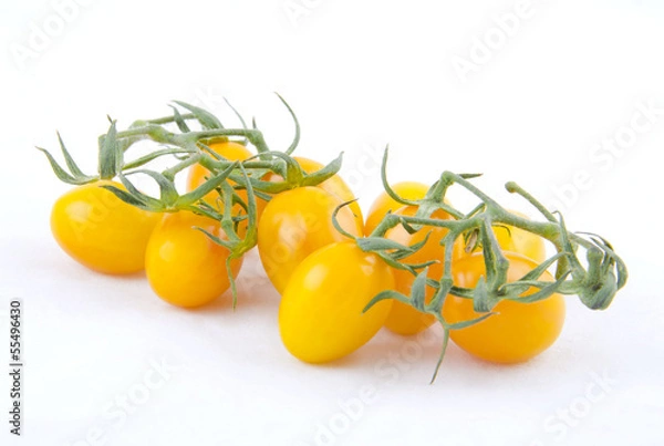 Obraz Yellow tomatoes