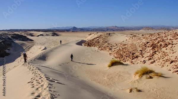Fototapeta Hikers and a local guide on their way in the heart of the Sinai Desert among dunes of white sand and mountains, Egypt. Duna Hadudah, a tourist attraction in the Sinai Desert.