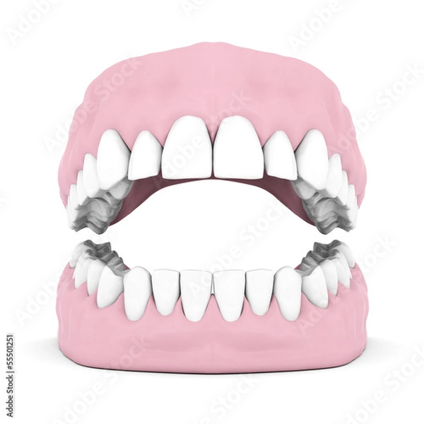 Obraz Dentures