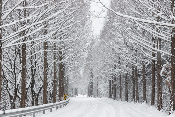Fototapeta snow covered road