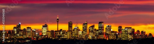 Fototapeta Skyline of Sydney after Sunset