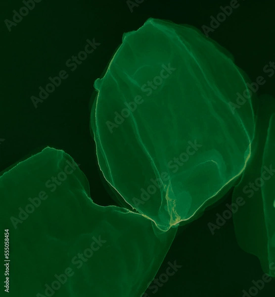 Obraz Green Modern Art. Abstract Background. Watercolor Texture. Wet Art Print. Ink Graffiti. Watercolor Print. Black Alcohol Ink Pattern. Abstract Splash. Alcohol Ink Shirt. Dark Green