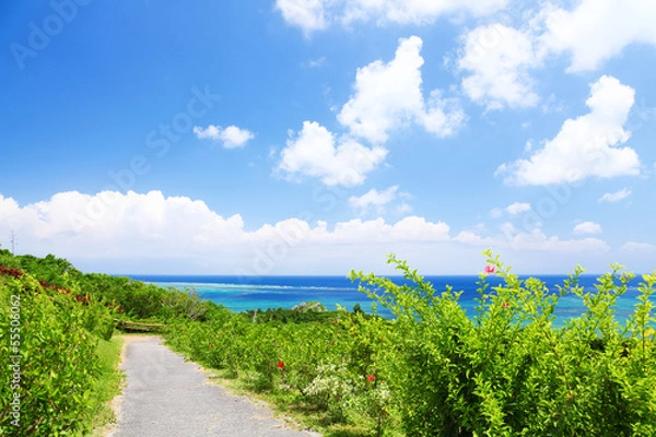 Obraz 玉取崎展望台へ