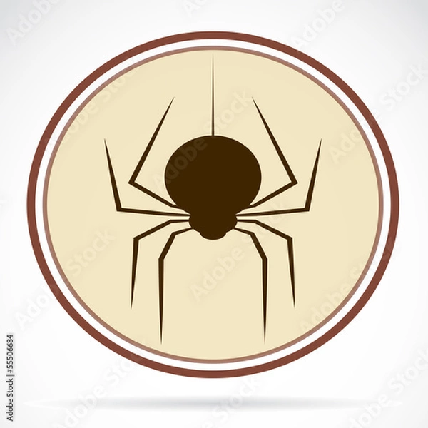 Obraz Pictures of brown spiders