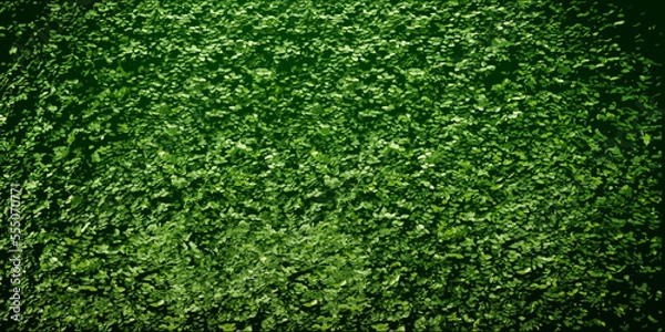 Obraz background green wall of plants