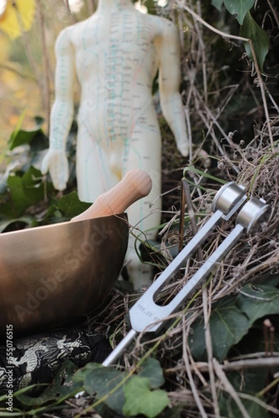 Obraz acupuncture  et sonothérapie