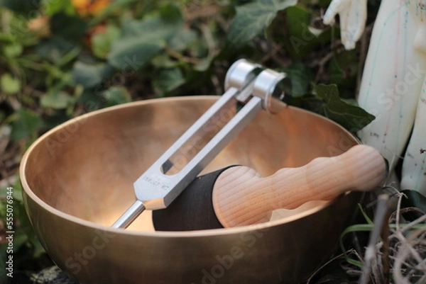 Obraz acupuncture  et sonothérapie