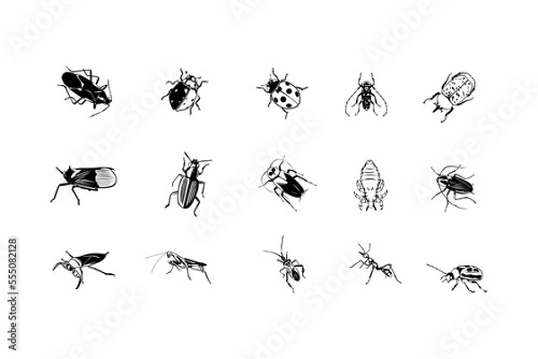 Fototapeta Pests and various insects set vector icons, white back grounds.
