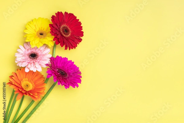 Fototapeta Bouquet of gerberas on yellow background Top view Flat lay Holiday greeting card Happy moter's day, 8 March, Valentine's day, Easter concept Copy space Mock up