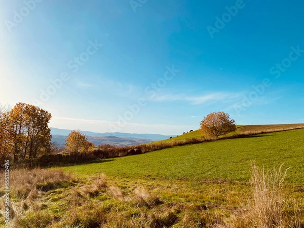 Fototapeta autumn in the mountains