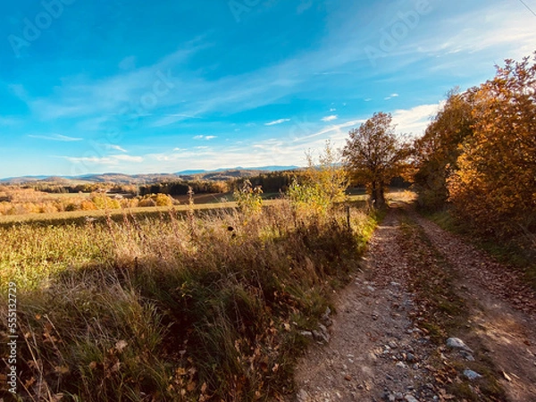 Fototapeta autumn in the mountains
