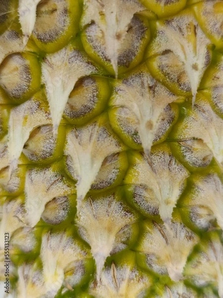 Obraz Pineapple skin that is still green