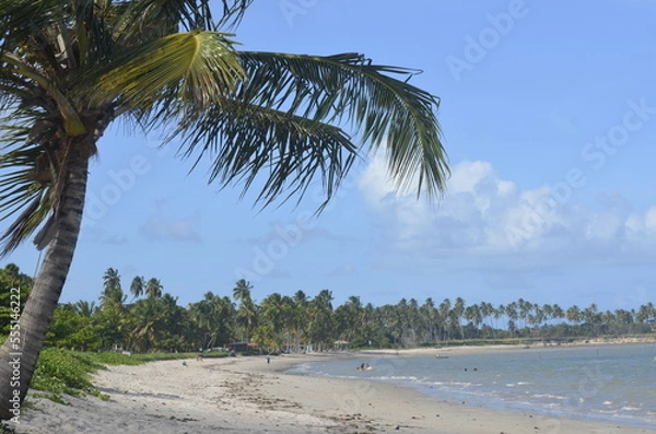 Fototapeta Sol e Praia