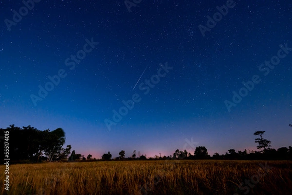Fototapeta Meteor in the sky in the middle of the meadow