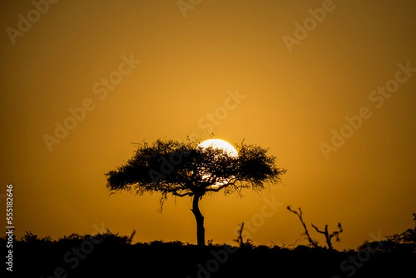Obraz African sunset in Kenya