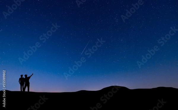 Fototapeta Couple standing pointing at a shooting star