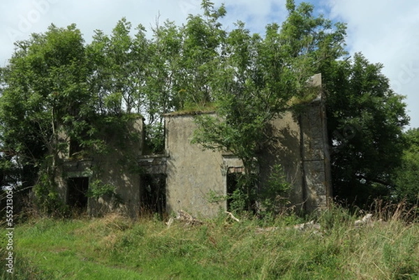 Fototapeta Countryside - County Cork - Ireland
