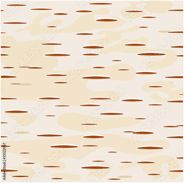 Obraz Young birch bark - vector illustration.