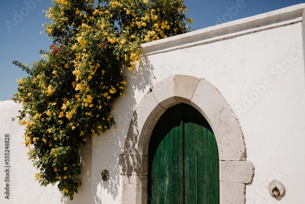 Obraz Green wooden door with stone frame and white facade with yellow flowers, in Tavira, Algarve of Portugal.