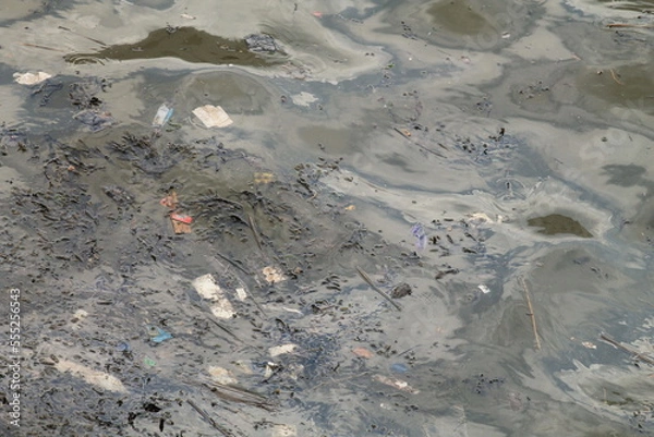 Obraz polluted sea water