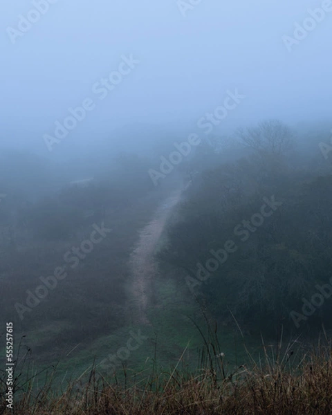 Obraz Foggy outdoor scene with hills and trails
