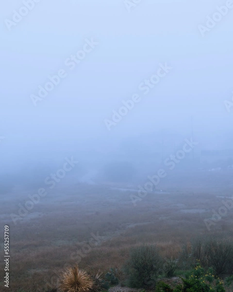 Obraz Foggy outdoor scene with hills and trails