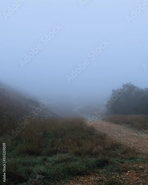 Obraz Foggy outdoor scene with hills and trails
