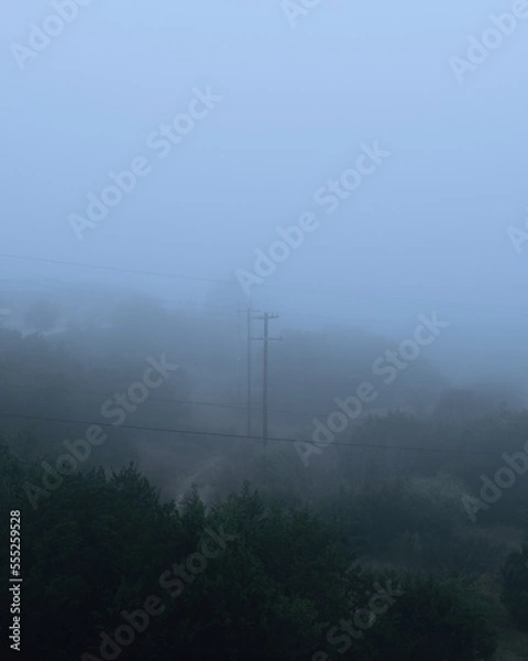 Obraz Foggy outdoor scene with power poles, hills and trails