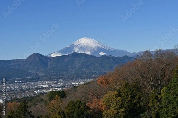 Fototapeta A view of Mount Fuji in early winter. The snow cap of Mt. Fuji can be seen from late autumn to early summer of the following year.