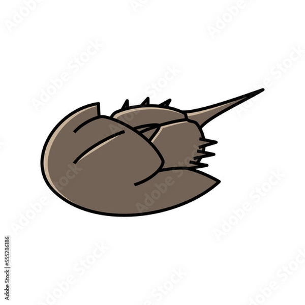 Obraz カブトガニ