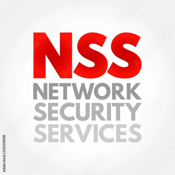 Fototapeta NSS - Network Security Services acronym, technology concept background