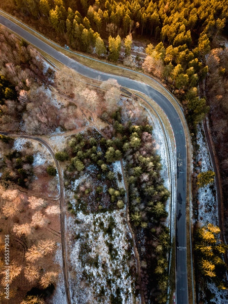 Fototapeta Pflanzgarten