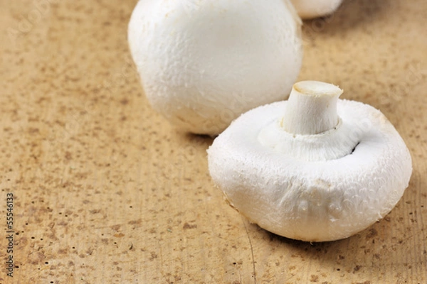 Fototapeta Champignons