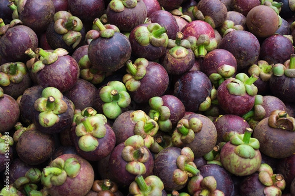 Obraz Mangosteen