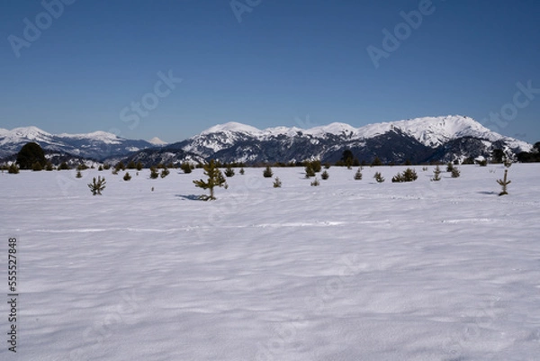 Fototapeta Alpine landscape. View of the snowfield under a clear blue sky in a sunny day, with the mountains in the background.