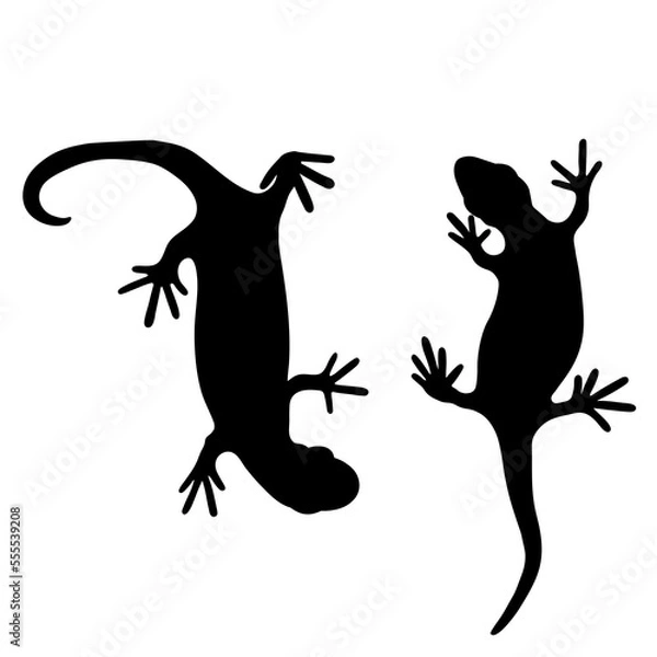 Obraz Set of lizards reptile gecko black silhouette vector illustration. Simple black silhouette illustration isolated on white background. Template for books, stickers, posters, cards, clothes.