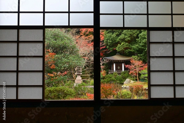 Fototapeta 秋の京都市 毘沙門堂雪見窓から観る庭園