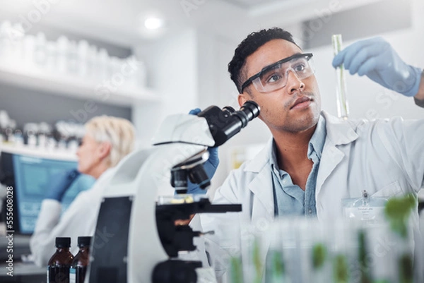 Fototapeta Black man, scientist and lab with test tube research, microscope and focus for agriculture study with plant. Science team, glass vial and plants for medicine, pharma and stop virus, bacteria or germs