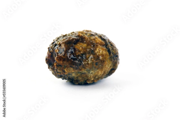 Fototapeta Ein Gallenstein